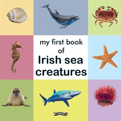 Super Sale My First Book of Irish Sea Creatures