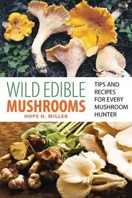 Wild Edible Mushrooms: Tips And Recipes For Every Mushroom Hunter (Paperback) Grab Now