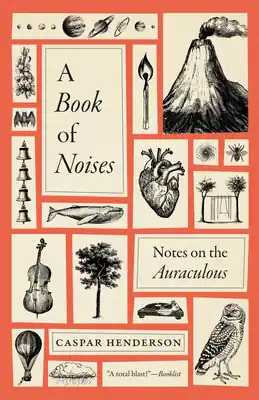 One Day Deal A Book of Noises: Notes on the Auraculous (Paperback)