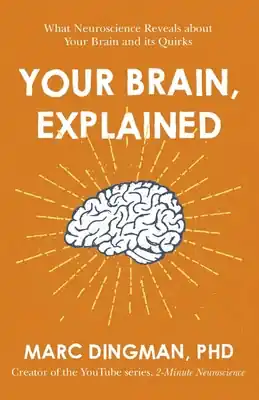 Your Brain, Explained: What Neuroscience Reveals About Your Brain and its Quirks (Paperback) Super Sale