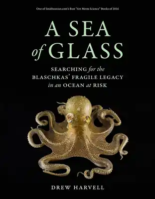 Factory Price A Sea of Glass: Searching for the Blaschkas' Fragile Legacy in an Ocean at Risk (Organisms and Environments #13) (Paperback)