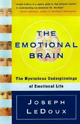 The Emotional Brain: The Mysterious Underpinnings of Emotional Life (Paperback) Buy Online