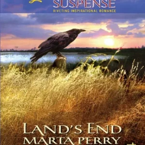 Best Seller Land's End (Mills & Boon Love Inspired): First edition