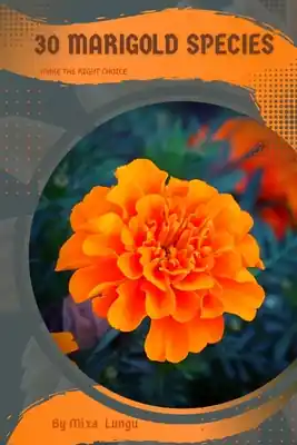 Modern 30 Marigold species: Make the right choice (Paperback)