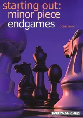 Budget Excelling at Chess Calculation (Paperback)