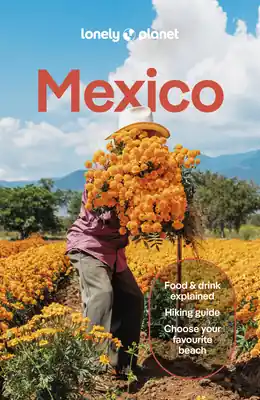 Lonely Planet Mexico (Travel Guide) (Paperback) New Arrival