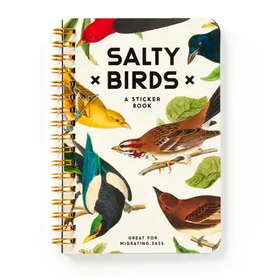 Top Pick Salty Birds Sticker Book (A Brass Monkey Sticker Book) (Stickers)