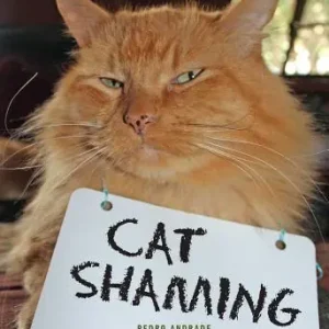 Cat Shaming (Paperback) Reduced Price