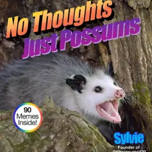 No Thoughts Just Possums: 90 Hilarious Memes (Hardcover) Holiday Sale