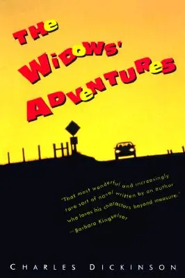Limited Time The Widows' Adventures (Paperback)