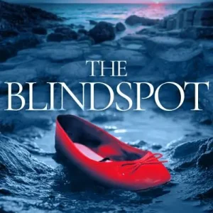 Buy Direct The Blindspot